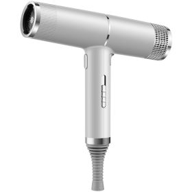 New Concept Hair Dryer Household Hair Dryer (Option: Silver-220V-Color box)